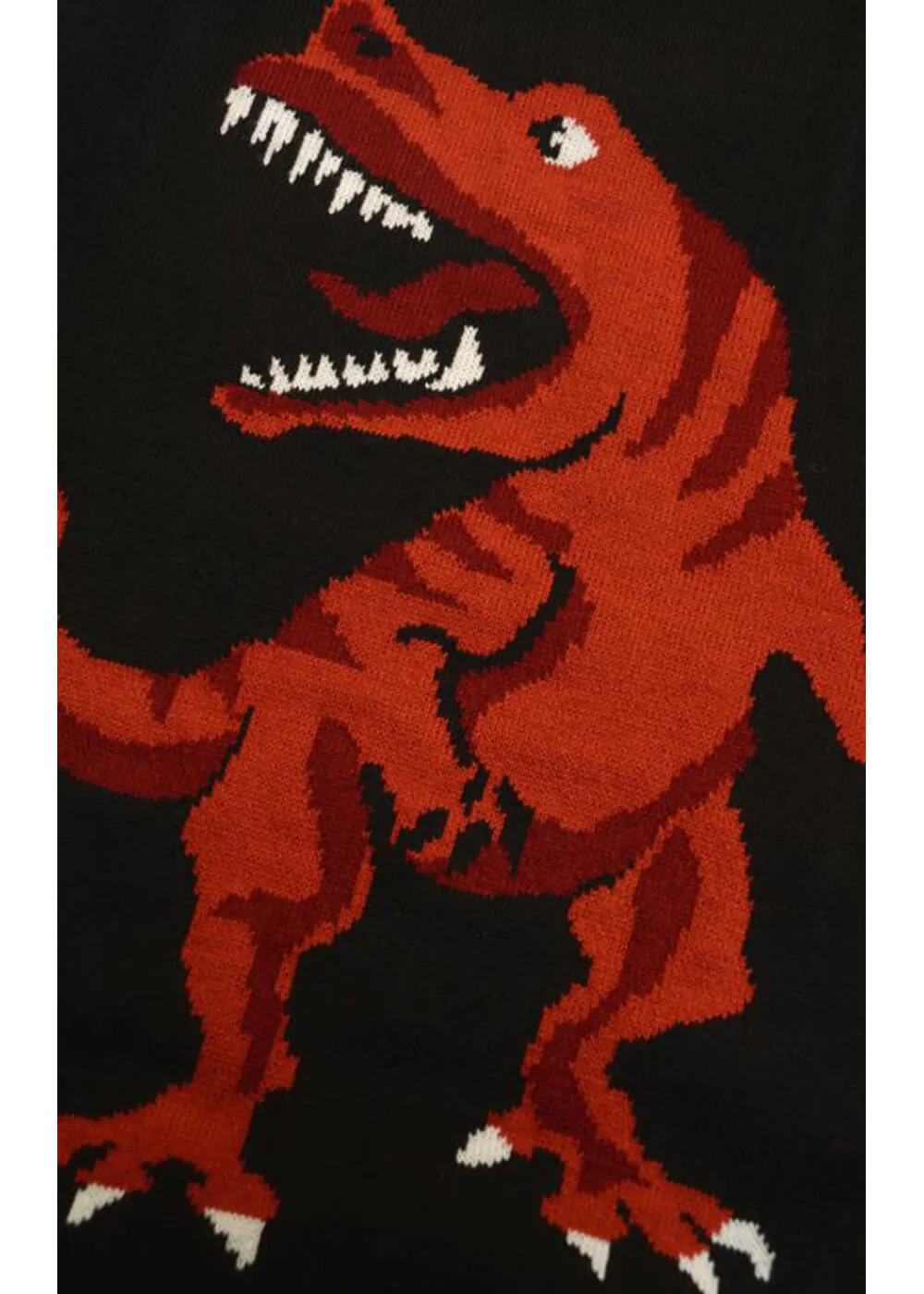 Run & Fly T-Rex Dino Roar 60's Jumper Black